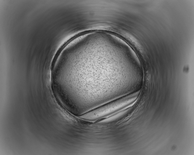 X0000100191324200806131158