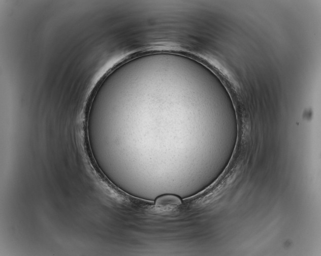 X0000100191325200806131158