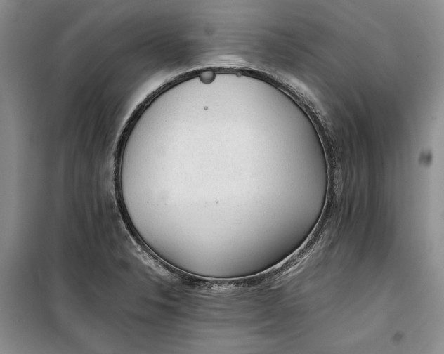 X0000100191326200806131158