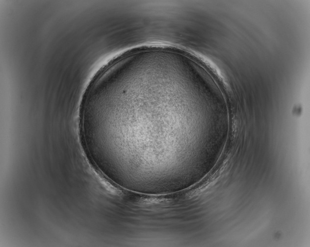 X0000100191327200806131158