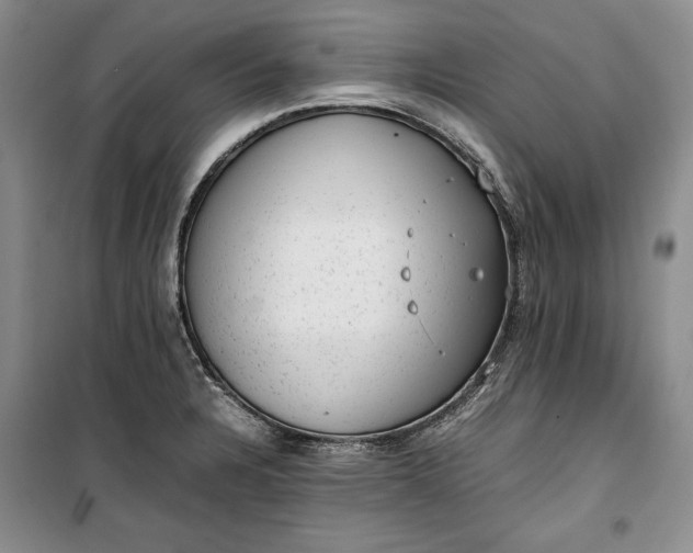 X0000100191328200806131158