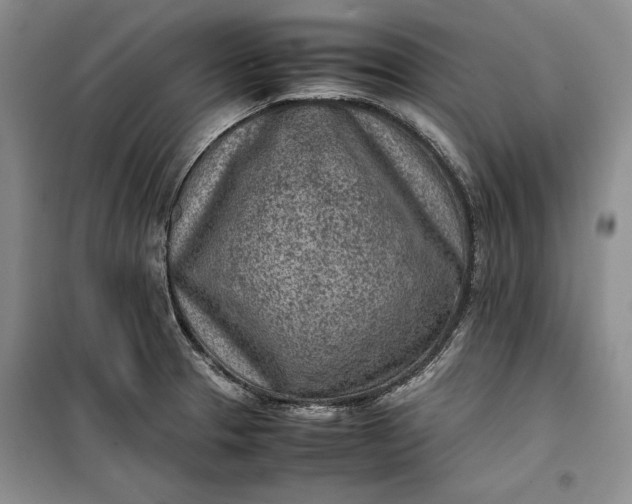 X0000100191329200806131158