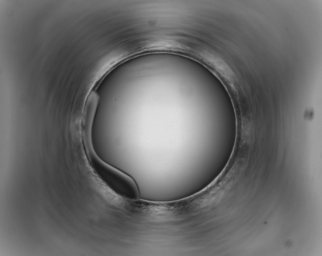 X0000100191330200806131158