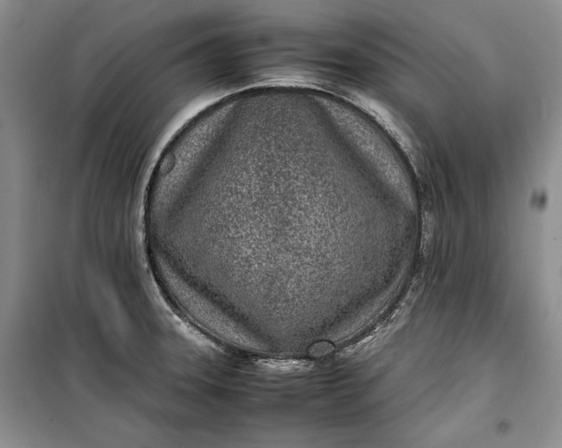 X0000100191331200806131158