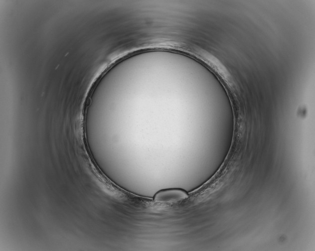 X0000100191332200806131158