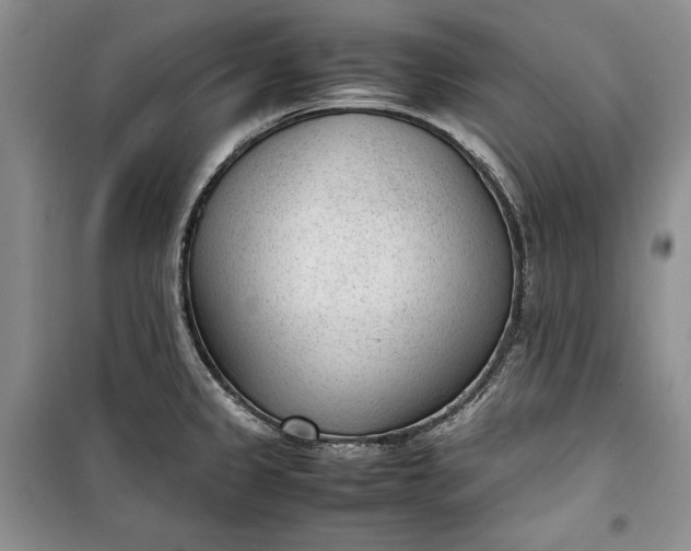 X0000100191333200806131158