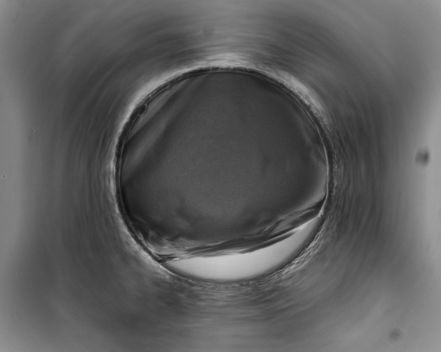 X0000100191334200806131159