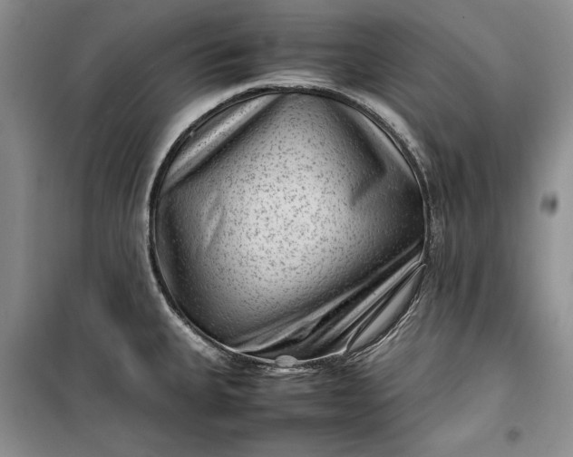 X0000100191335200806131159