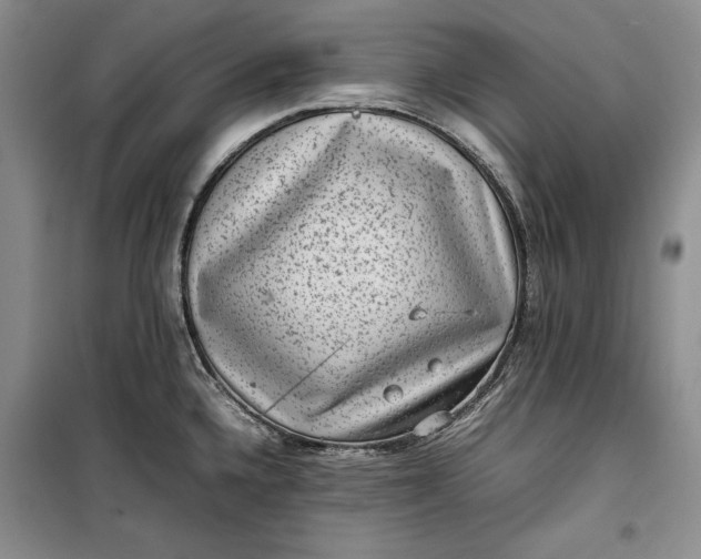 X0000100191336200806131159