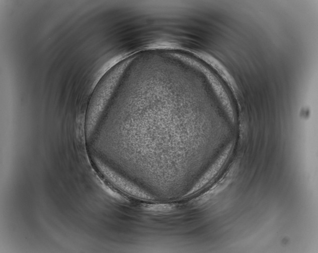 X0000100191337200806131159