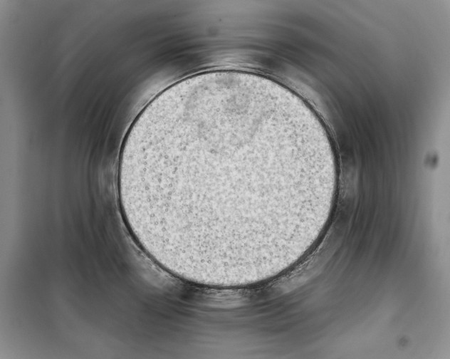 X0000100191338200806131159