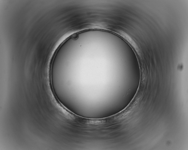 X0000100191339200806131159