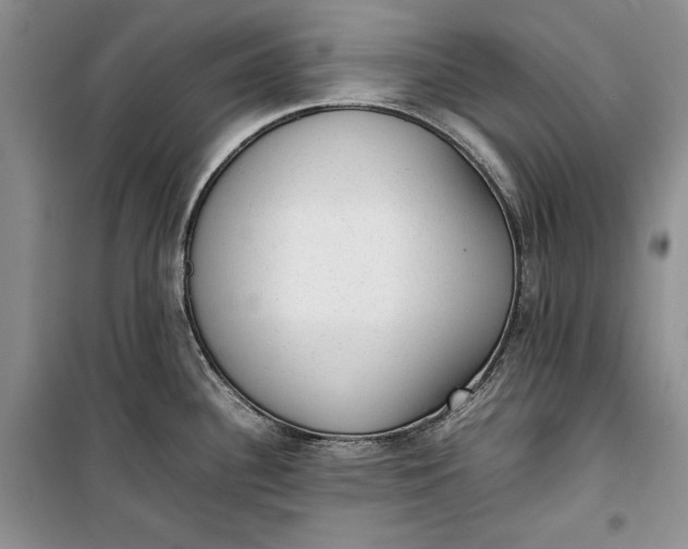 X0000100191340200806131159