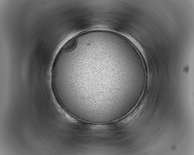 X0000100191341200806131159