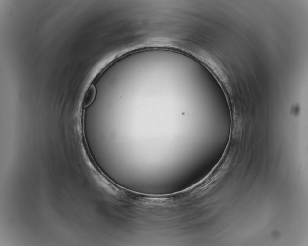 X0000100191342200806131159