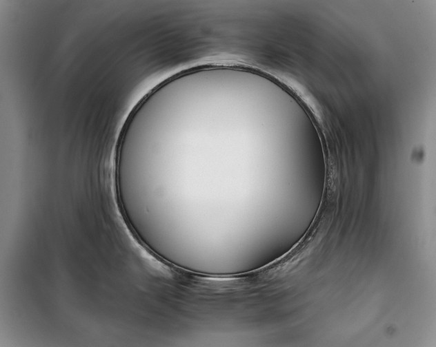 X0000100191343200806131159