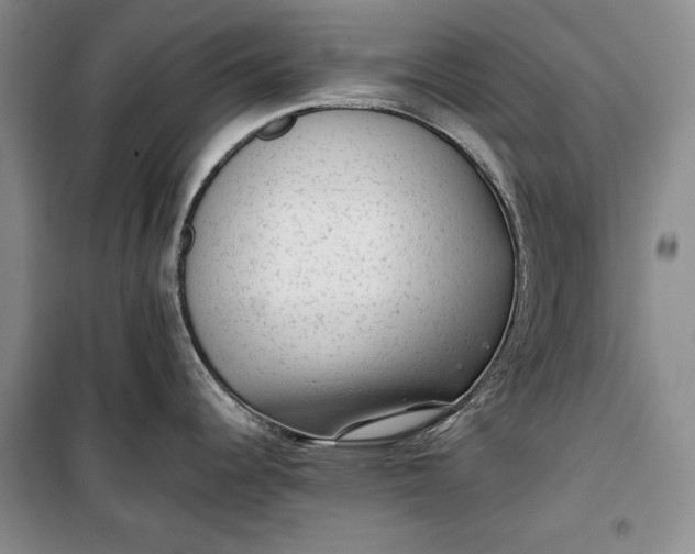 X0000100191344200806131159