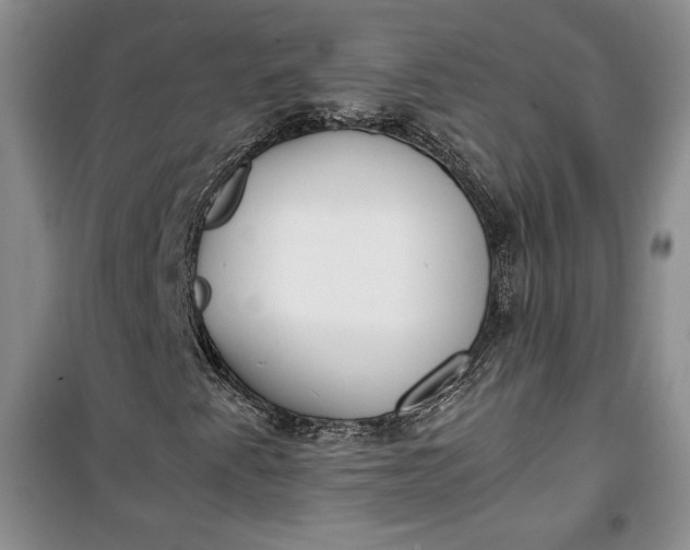 X0000100191345200806131158