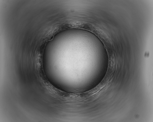 X0000100191346200806131158