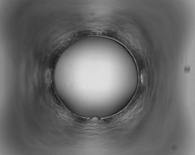 X0000100191347200806131158