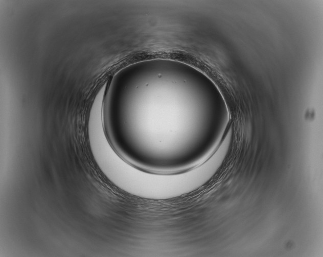 X0000100191348200806131158