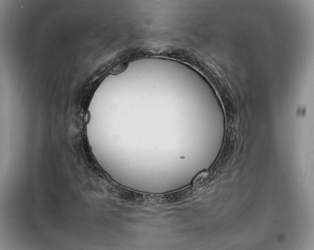 X0000100191349200806131158