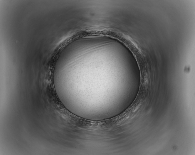 X0000100191350200806131158