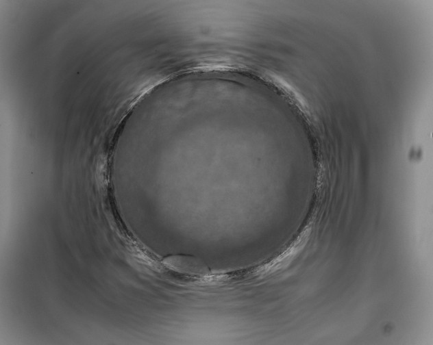 X0000100191353200806131158