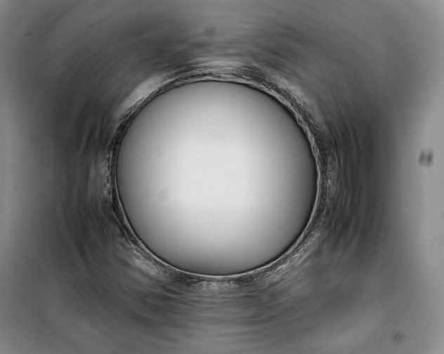 X0000100191354200806131158