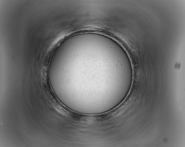 X0000100191355200806131158