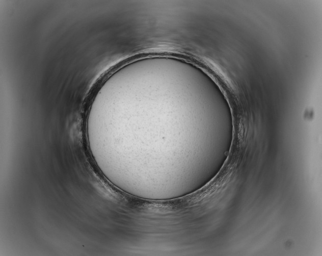 X0000100191356200806131158