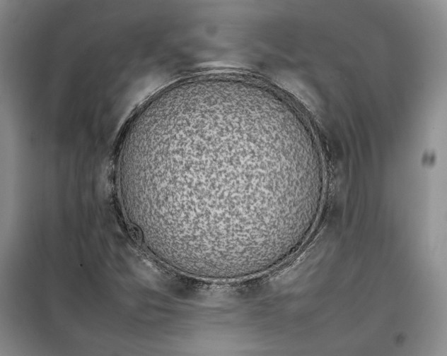 X0000100191357200806131158