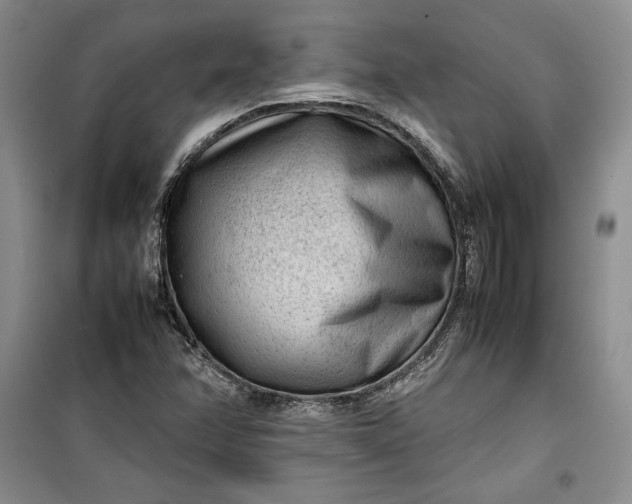 X0000100191358200806131158