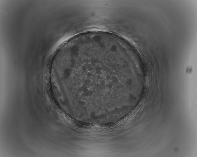 X0000100191359200806131158