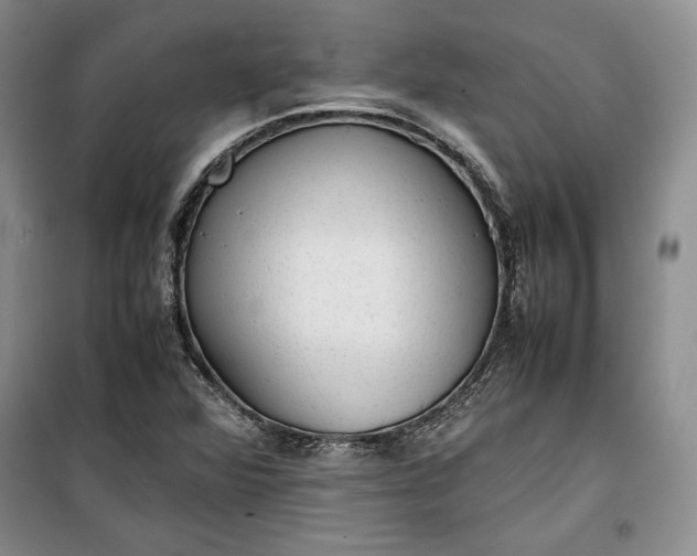 X0000100191360200806131158