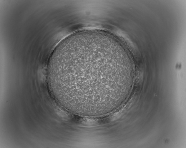 X0000100191361200806131158