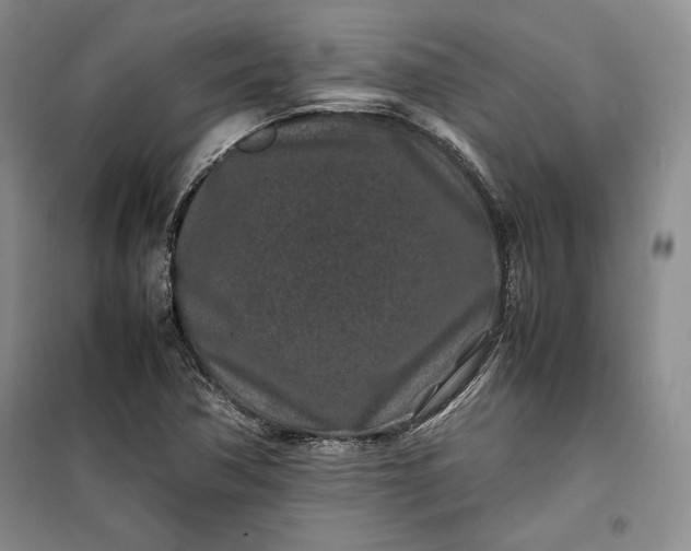 X0000100191362200806131158