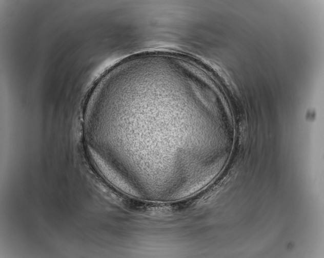 X0000100191363200806131158