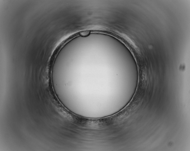 X0000100191364200806131158