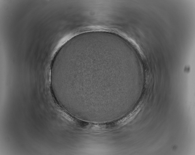 X0000100191365200806131158