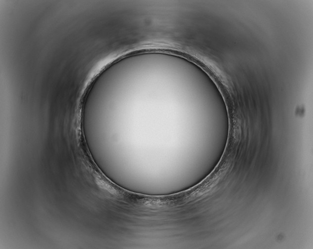 X0000100191366200806131158