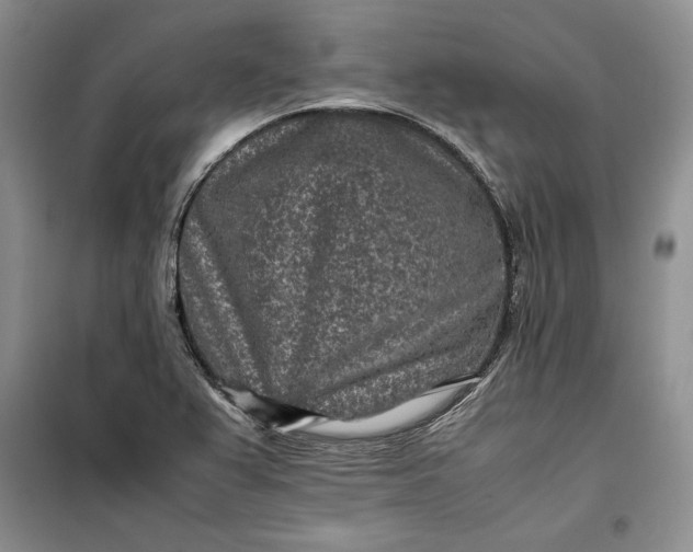 X0000100191367200806131158