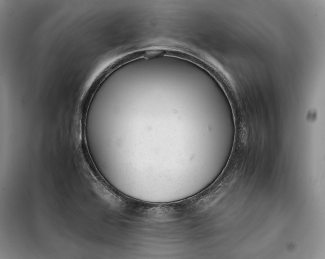 X0000100191368200806131158