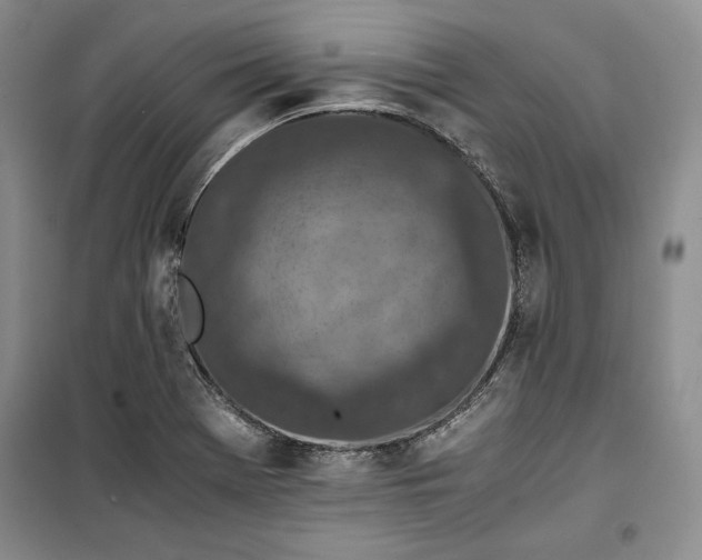 X0000100191369200806131158