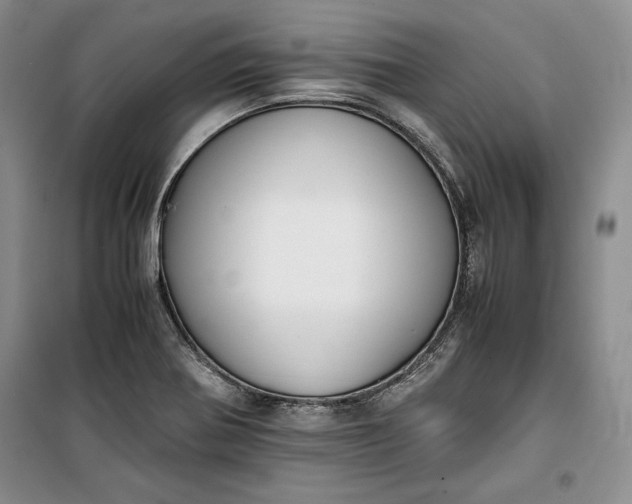 X0000100191370200806131158