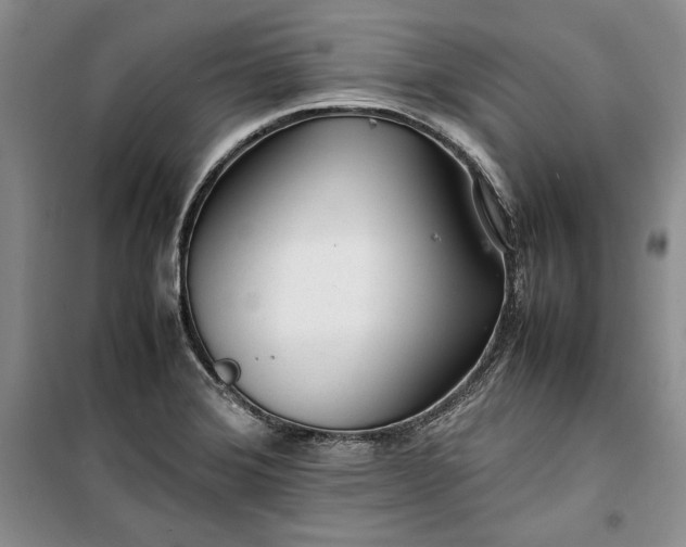 X0000100191372200806131158