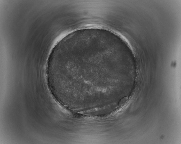 X0000100191373200806131157