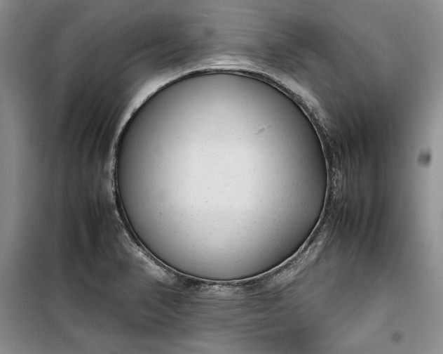 X0000100191374200806131157