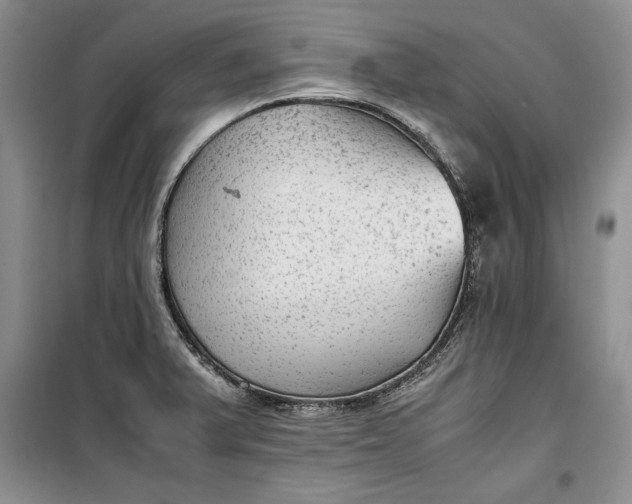 X0000100191375200806131157