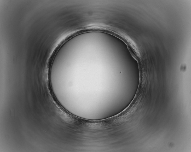 X0000100191376200806131157